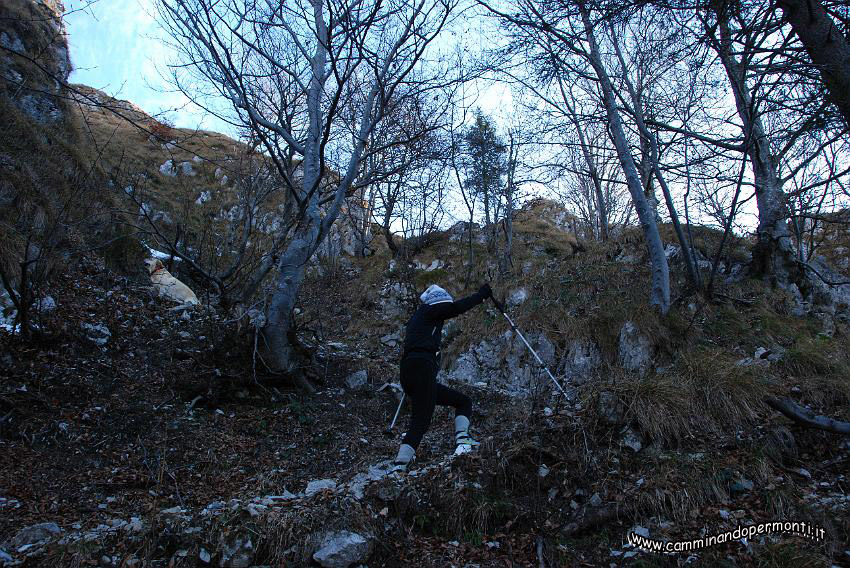 09 14233 Verso il passo Sappli.JPG